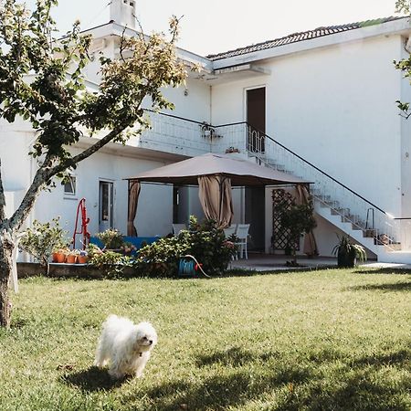 A Casa Da Estrela - Albergue De Peregrinos Fajozes Exteriér fotografie